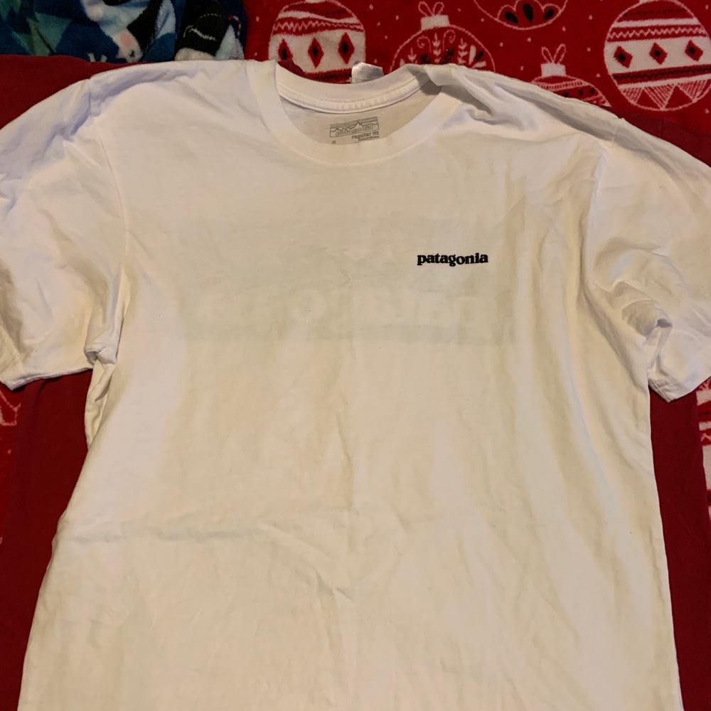 Patagonia mens tshirt